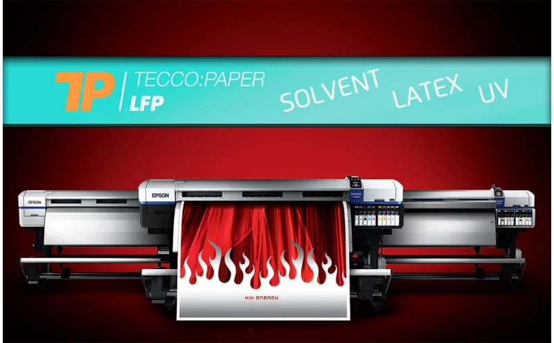 Solventowy debiut Tecco