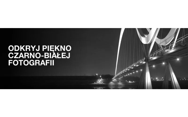 PROMOCJA - drukarka EPSON Stylus Photo R2880 z oprogramowaniem NIK SILVER EFEX PRO 2